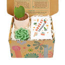 cute holiday cards, modern holiday cards, holiday cards 2025, holiday cards sale