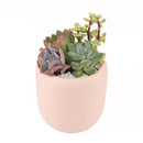 valentine's day succulent gifts, send succulent arrangement, mini succulent gifts, mother's day succulent arrangement, succulent plant arrangement ideas, unique diy gifts, valentines succulent arrangement, small succulent arrangement ideas, holiday succulent gifts, succulent themed gifts, succulent pot arrangement, succulent christmas gifts, Plant Gifts for Men, Happy Father's Day Gift, Succulent Gift for Men, Thank You Gift Dad, Appreciation Gift for Dad