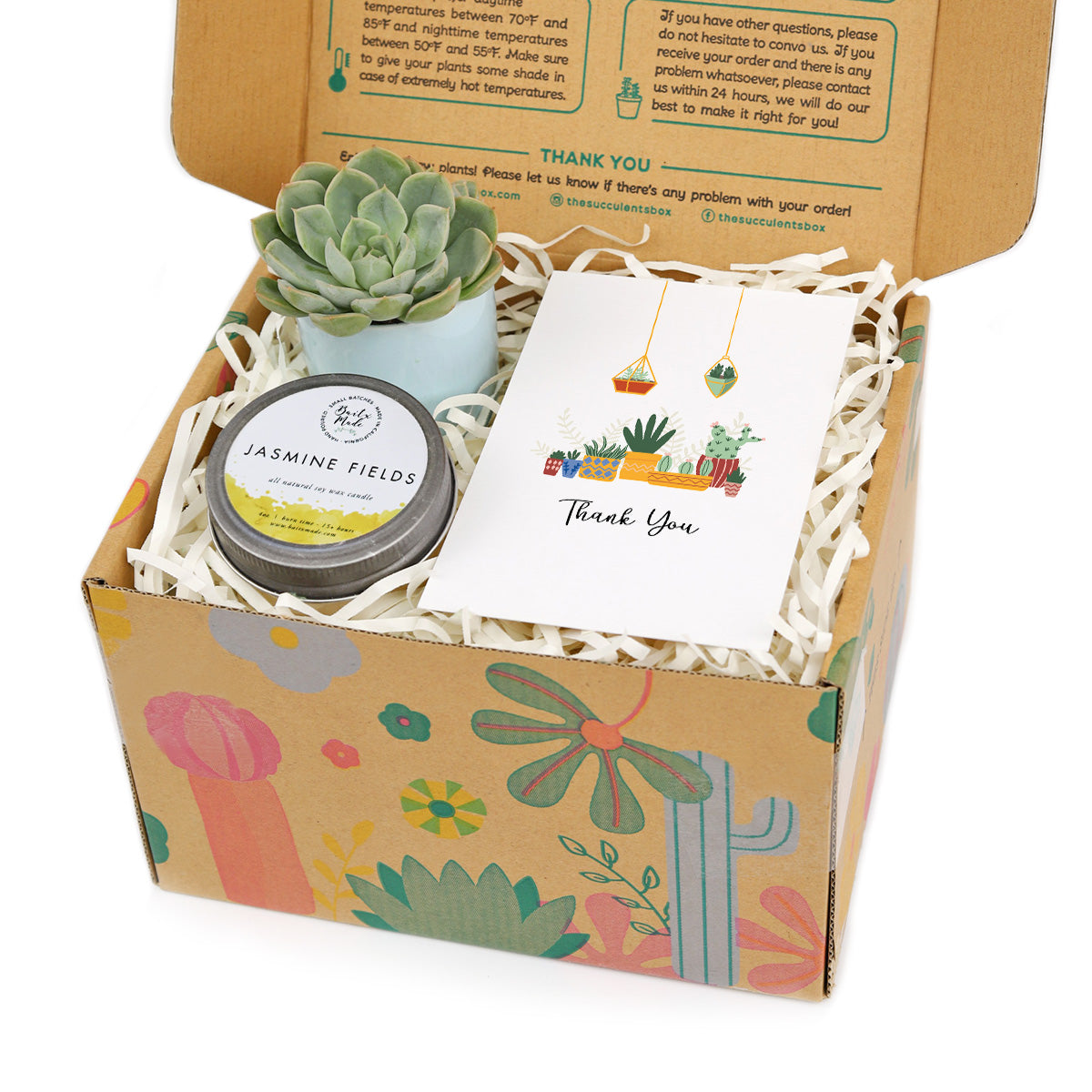 candle gift box, gift box near me, company gift box, gift box company, live plant gift ideas, Buy Plant Gift for Mom, Mother&#39;s Day Plant Gift Ideas 2025