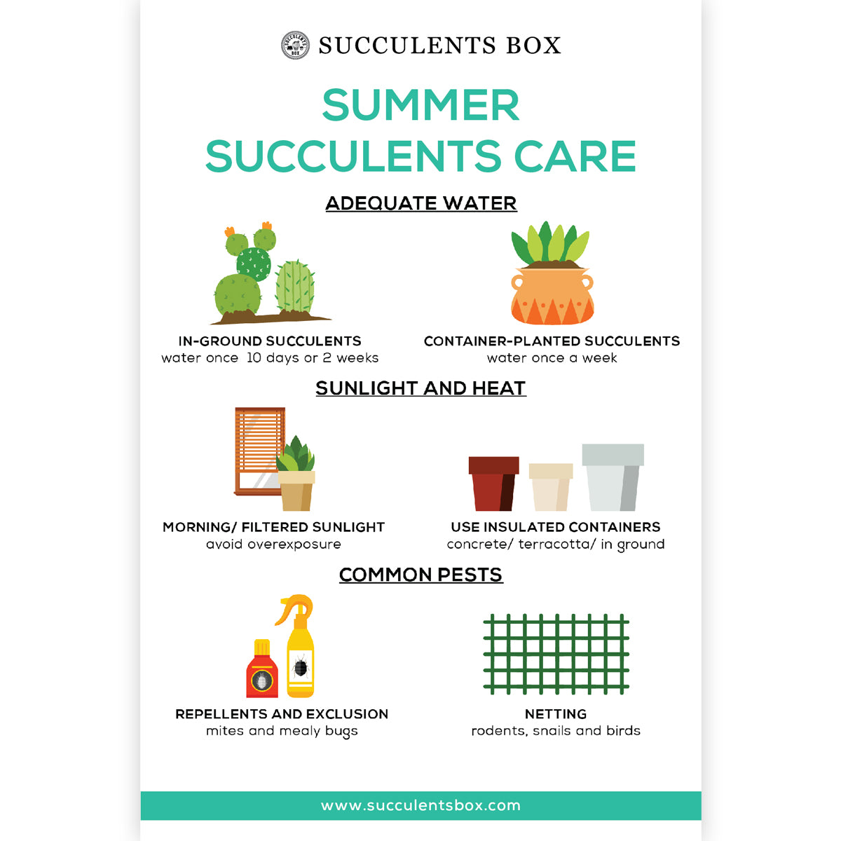 Summer Succulents Care Card for sale, How to care for succulents in summer, Succulent care instruction
