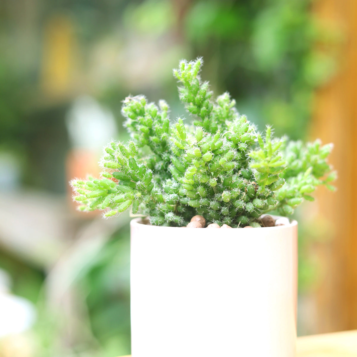 Where to buy decorative ceramic cylinder pots in the USA, A great place to find unique, handcrafted ceramic cylinder pots, Reliable source for ceramic cylinder pots