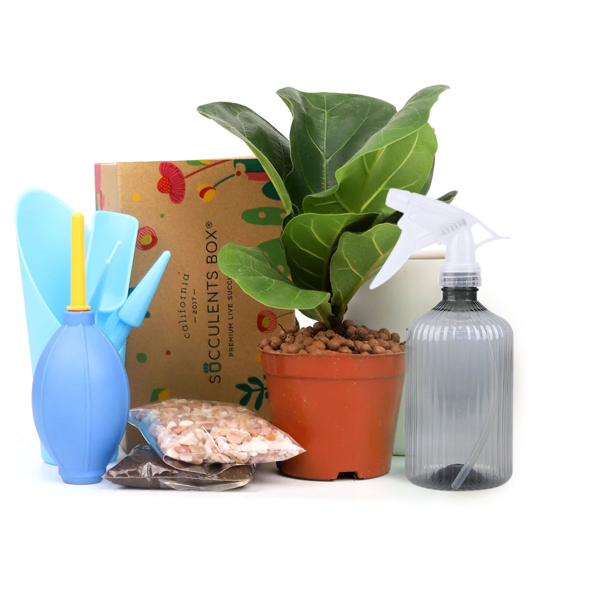 house plant tool set Houseplant Beginner Kit Gift Box - Easy Care Indoor Plant Starting Kits with Tool