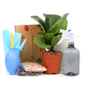 valentine gift for men, best valentine gift for girlfriend, valentine gift boxes, top valentine day gift, valentine gift box ideas, valentine gift delivery, valentine day gift ideas for her, personalized valentine day gift for him, valentine gift boxes for her, unique valentine gift 2025