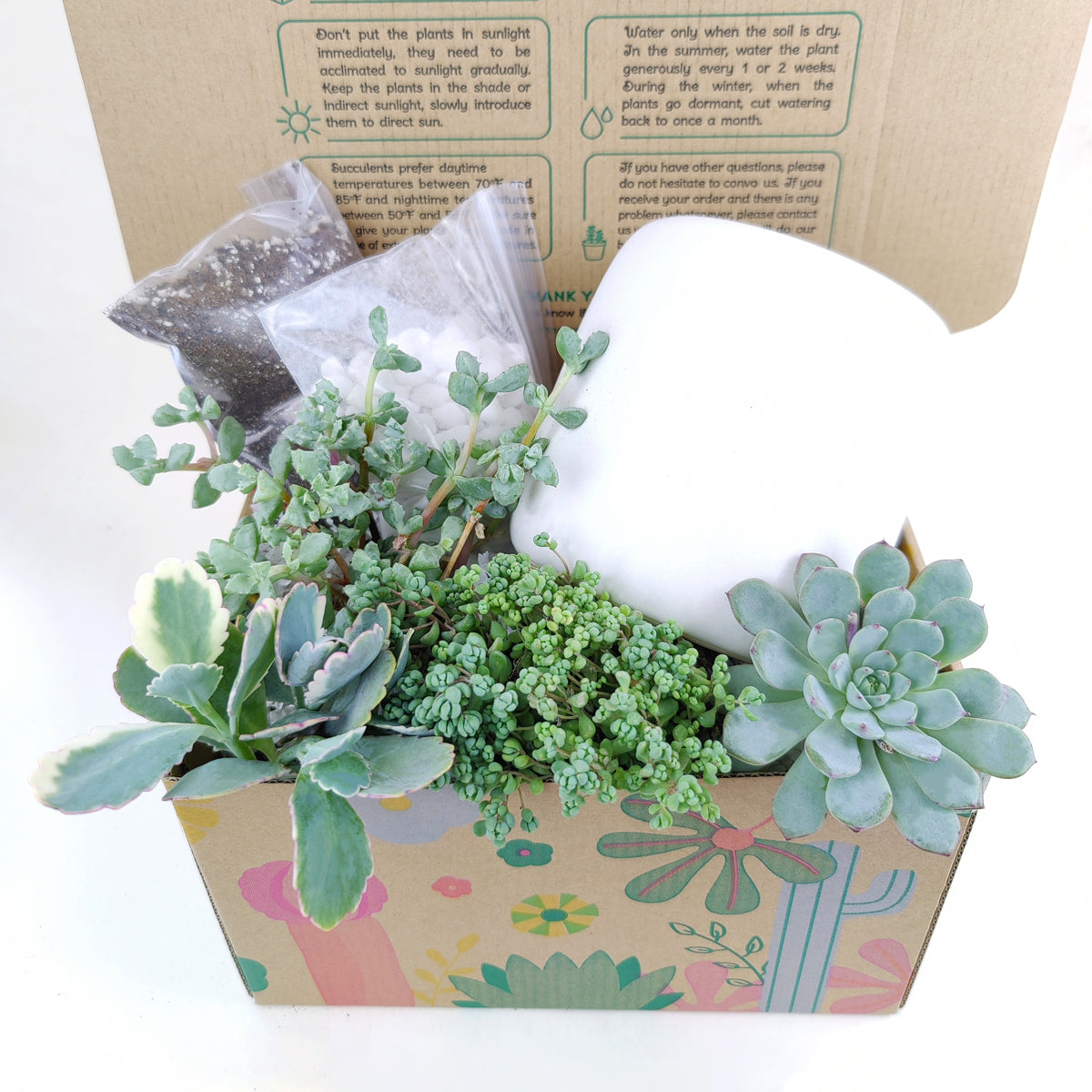 gifts for succulent lovers, succulent bowl arrangement, succulent plant gifts, indoor succulent arrangement ideas, christmas succulent arrangement, valentine&#39;s day succulent gifts, send succulent arrangement, mini succulent gifts, mother&#39;s day succulent arrangement, succulent plant arrangement ideas, unique diy gifts, Gifts for Dad, Father&#39;s Day Gifts Delivery 2022, Plant Gifts for Men, Happy Father&#39;s Day Gift, Succulent Gift for Men, Thank You Gift Dad