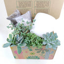 unique diy gifts, valentines succulent arrangement, small succulent arrangement ideas, holiday succulent gifts, succulent themed gifts, succulent pot arrangement, succulent christmas gifts, cactus succulent arrangement, Thank You Gift Dad, Appreciation Gift for Dad