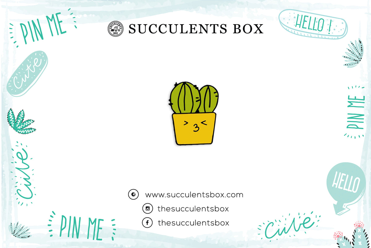 Cute Cactus Enamel Pin for sale, Prickly Pear pin, Metal Plated Lapel Pin, Succulent Pin Badge for sale, Cactus Gift Craft Ideas, cactus, cactus succulent, succulent cactus, cacti, cactus and succulents, succulents box, succulent shop, buy succulents online