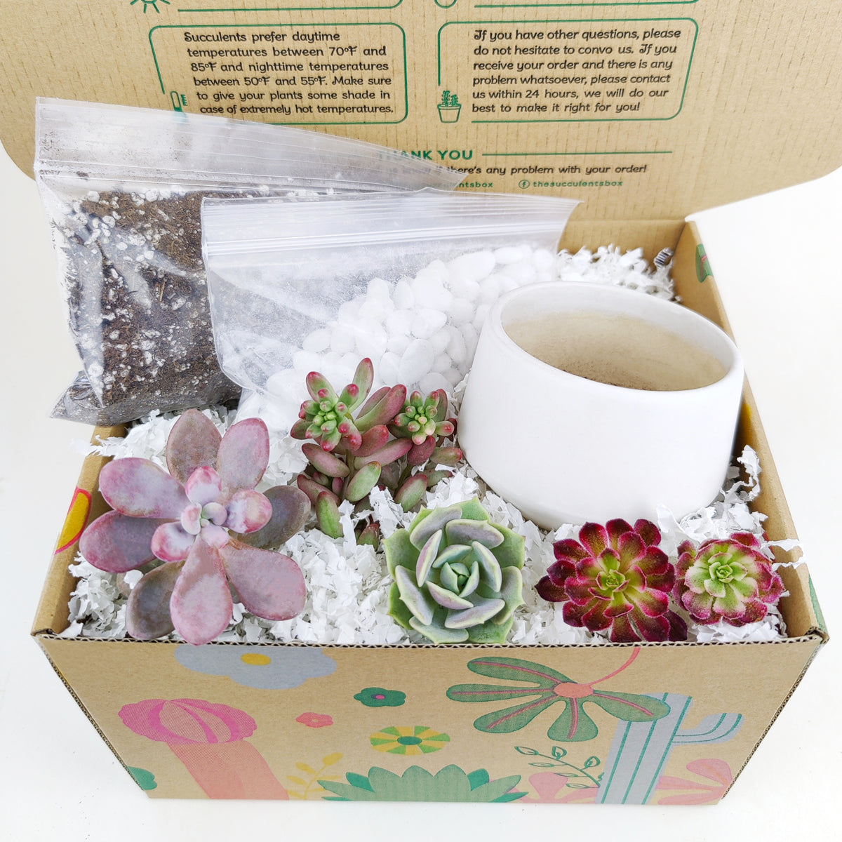 how to make a succulent arrangement, succulent arrangement delivery, gifts for succulent lovers, succulent bowl arrangement, succulent plant gifts, indoor succulent arrangement ideas, christmas succulent arrangement, valentine's day succulent gifts, send succulent arrangement, Father's Day Gift Box Ideas, Plant Dad Gifts, Gifts for Dad, Father's Day Gifts Delivery 2022, Plant Gifts for Men