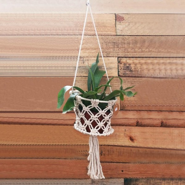 Macrame for Airplants
