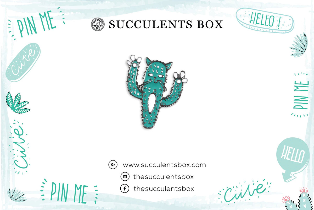 Cactus Cat Enamel Pin for sale, cat brooch for sale, cat cactus lovers, cactus gift box, succulents gift ideas, Gifts for cat lovers, Gifts for plant lovers, cactus, cactus succulent, succulent cactus, cacti, cactus and succulents, succulents box, succulent shop, buy succulents online