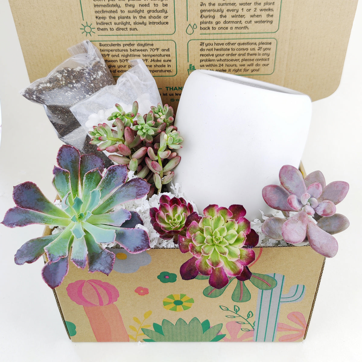 holiday succulent gifts, succulent themed gifts, succulent pot arrangement, succulent christmas gifts, cactus succulent arrangement, live succulent arrangement, succulent garden gifts, colorful succulent arrangement, succulent gifts online, Plant Dad Gifts, Gifts for Dad, Father&#39;s Day Gifts Delivery 2022, Plant Gifts for Men, Happy Father&#39;s Day Gift