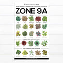 best succulent image, collection of Printable Succulents Art, digital printable succulent, choosing succulent for zone, Succulent designs Zone, Succulents Hardiness Zone, Printable Arts: Types of Succulent Zones for sale, Succulent Printable, succulent printable selection, succulent decor idea, succulent gift, succulent art