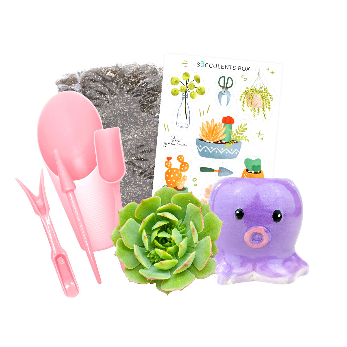 Kid-friendly Succulent Kit for sale, DIY Garden Kit, Kids DIY Garden, At home activities, Kids garden kit diy planters, unique pots for succulent and cactus, succulent pot decor, succulent pot gift ideas, Succulent pot decor ideas, succulent gift ideas, succulent gift set for sale, Succulents Black Friday discount, Succulents Black Friday 2023, christmas gift ideas, succulents for thanksgiving decor, Best Black Friday deals, Black Friday Succulent Online Deals 2023