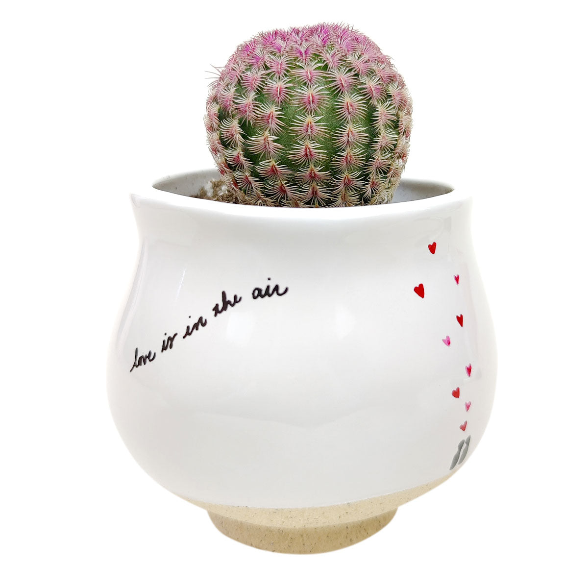 Love Is In The Air Pot for sale, heart pot for Valentines, Ceramic succulent pots for indoor and outdoor, Valentines's day gift ideas, Valentine's day gift for her, succulent pot for sale