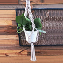 4&quot; Macrame (24&quot; long)