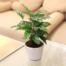 gray ceramic pot pack for sale, modern ceramic pot for houseplants and succulents, minimalist pot with drainage hole and saucer, plant pot gift ideas