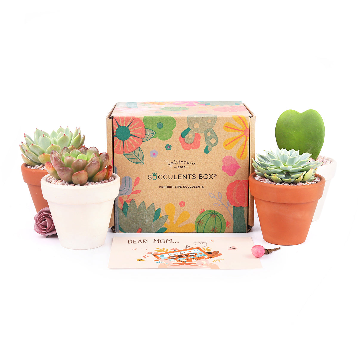 best subscription box, garden subscription box, subscription box gifts, couples monthly subscription box, new mom subscription box, friends subscription box, subscription box service, mother's day 2023, mother's day gifts
