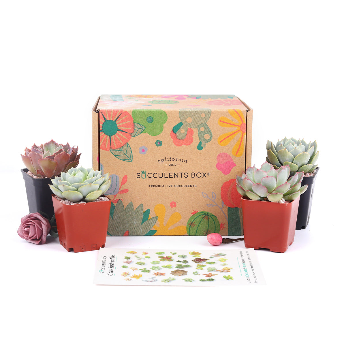 subscription box gift ideas, subscription gift box, mother's day gifts, mother's day gift ideas, best mother's day gifts, personalized mother's day gifts, Succulent Subcription Boxes for sale, Succulents for Sale, Types of Succulents, Succulents Shop in California