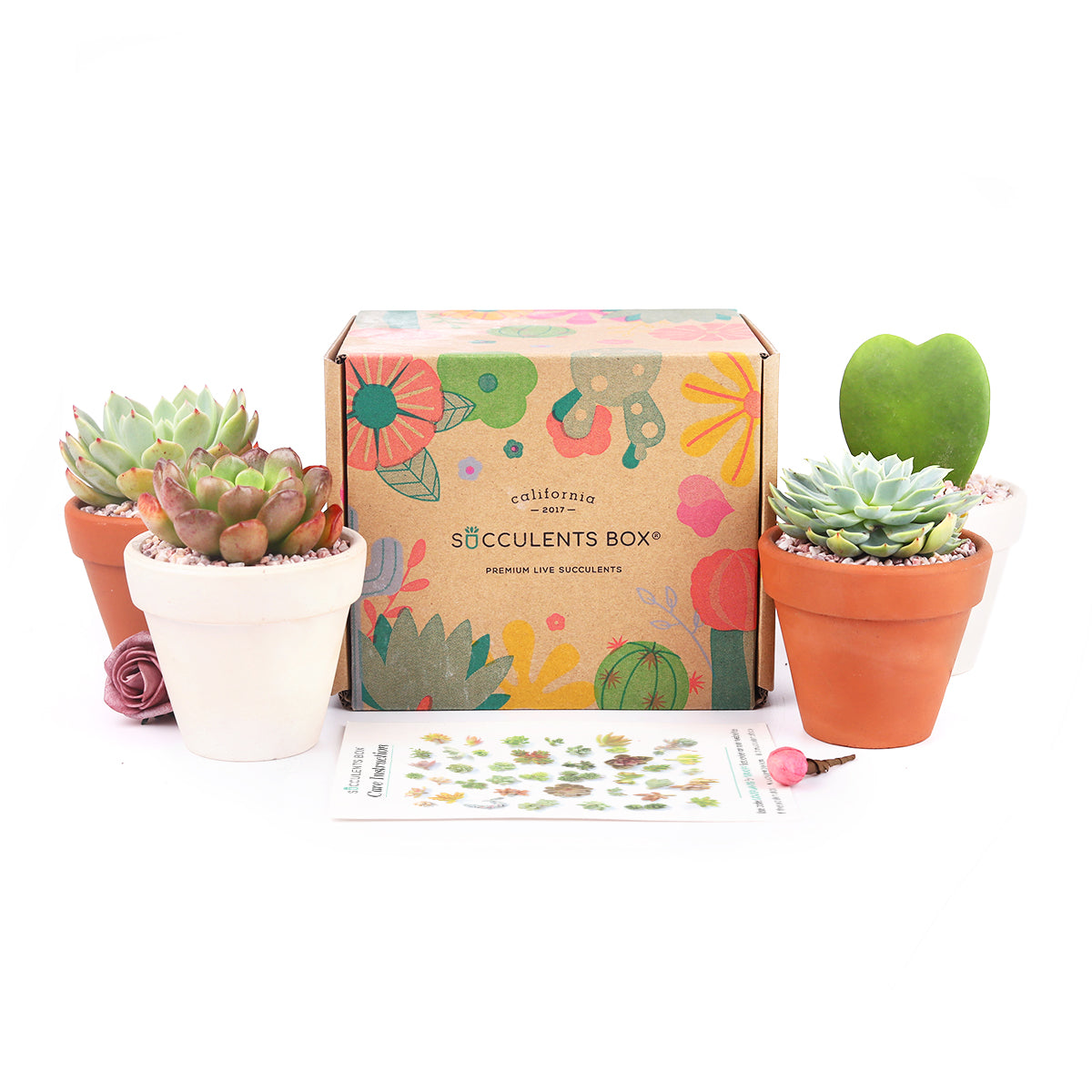 subscription gift box, subscription box gift ideas for mom, personalized mother's day gifts, mother day gifts, mother's day subscription box, Subscription Box with Care Instruction, Succulent Subscription Gift Box Monthly