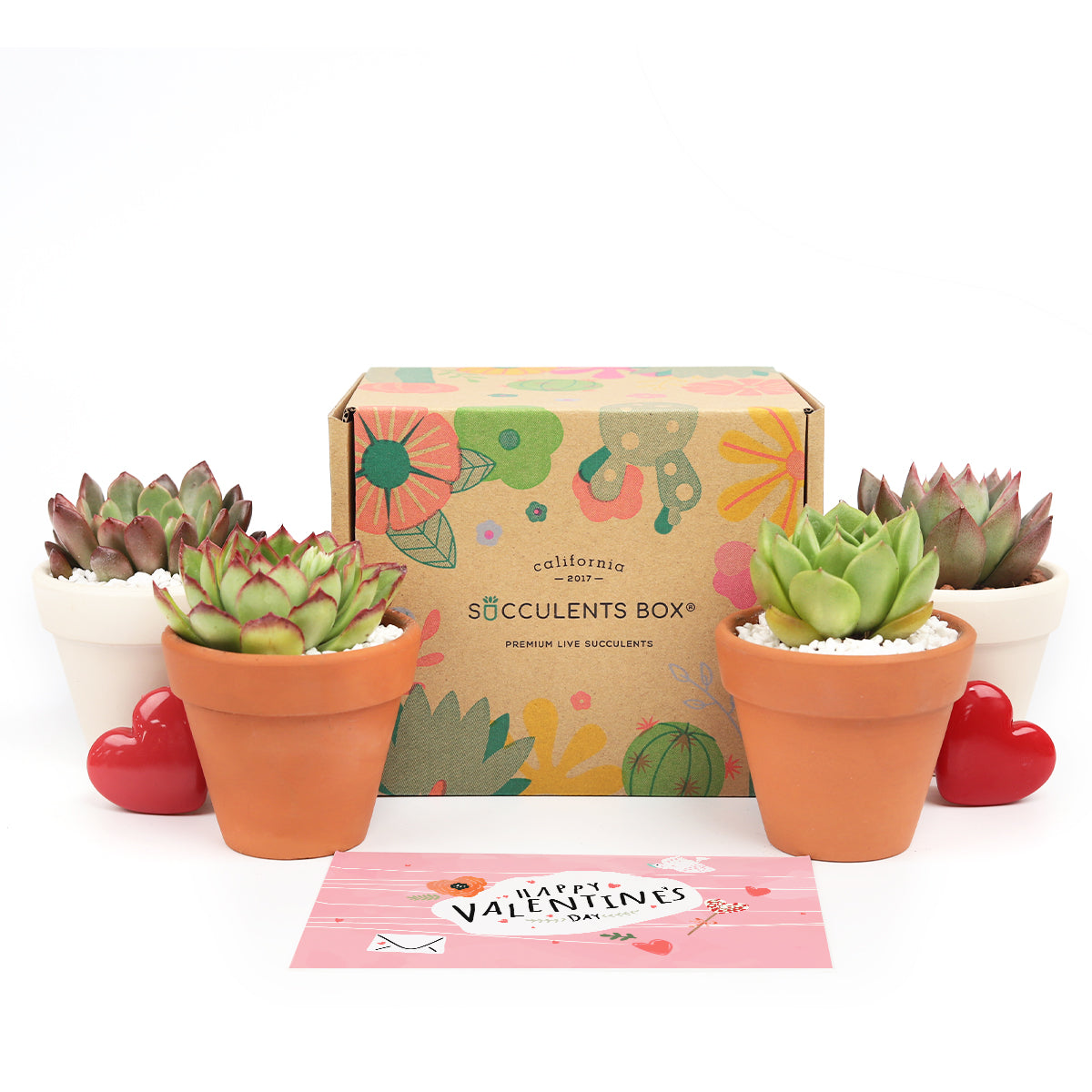 succulent subscription with clay pot monthly, live plant delivered monthly, succulent gift ideas, houseplant home office decor ideas, live plant gift for everyone