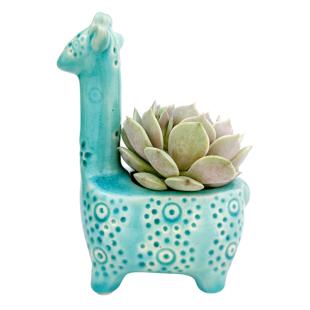 Blue Giraffe Ceramic Pot for sale, Ceramic mini pot for succulents and flowers, Ceramic Giraffe Flower Pot, Cute succulent planter, ideal gifts for mom, Giraffe Planters for sale