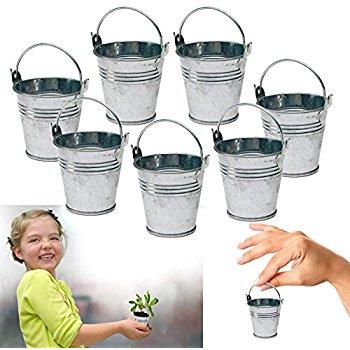 tin bucket for plant