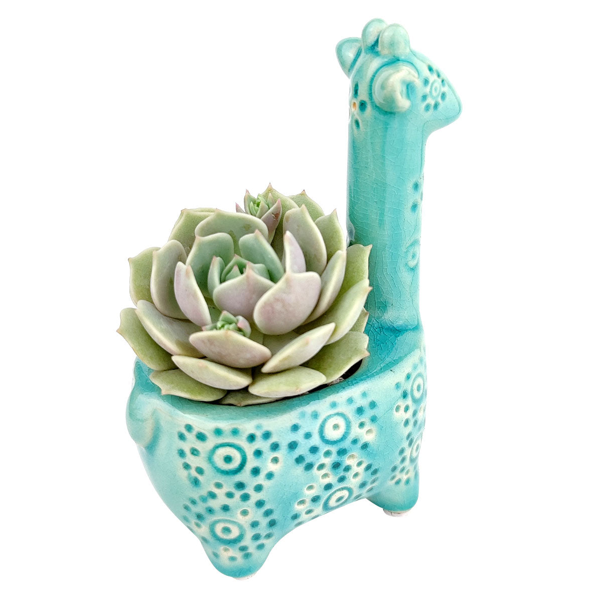 giraffe succulent pot Blue Giraffe Ceramic Pot | Elegant Indoor Flower Plant Pot | Succulent Pot for Sale