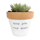Aloe You Vera Much Pot for sale, Funny Planter, Plant with Pun, Terre cotta succulent and cactus pot, Mother&#39;s Day Gift, Gift for Mom, Indoor Planter, Gift for Plant Lovers