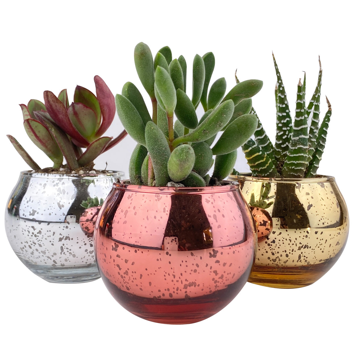 rose gold succulent pot 3 Pack Round Glitter Pots