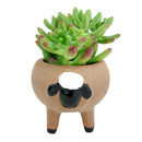 Cute Sheep Animals Ceramic Planter Pots for Succulent and Flowers, Ceramic Pot, Animal Pot, Mini ceramic pot for sale, Succulent pot for sale, Succulent gift decor ideas