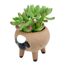 Cute Sheep Animals Ceramic Planter Pots for Succulent and Flowers, Ceramic Pot, Animal Pot, Mini ceramic pot for sale, Succulent pot for sale, Succulent gift decor ideas