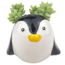 Ceramic Penguin Pot for sale, Cute Ceramic Succulent Pot, Penguin Planter Decor, Craft Supplies, Succulent Gift Ideas, Penguin Succulent Pot