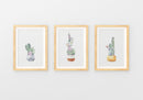 Printable Watercolor Cactus Posters for sale, Succulent Wall Art, Succulent Gift Ideas, Cactus Gifts for sale, Cactus Print Set