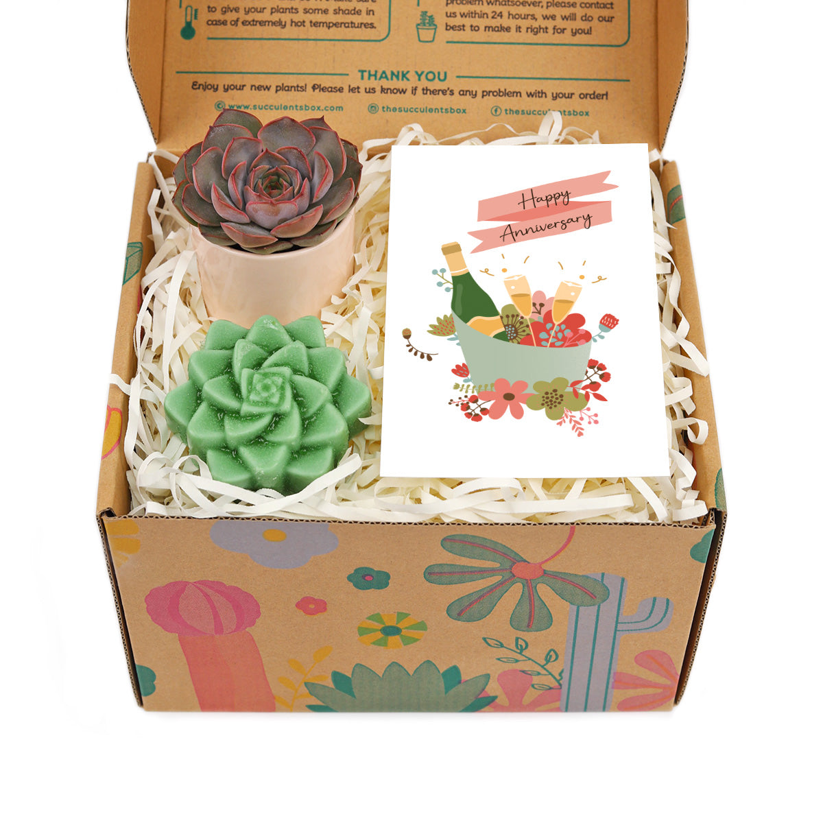 happy anniversary gift box, happy anniversary gift box for sale, happy anniversary gift idea, airplant gift box, succulent gift box for happy anniversary 2025