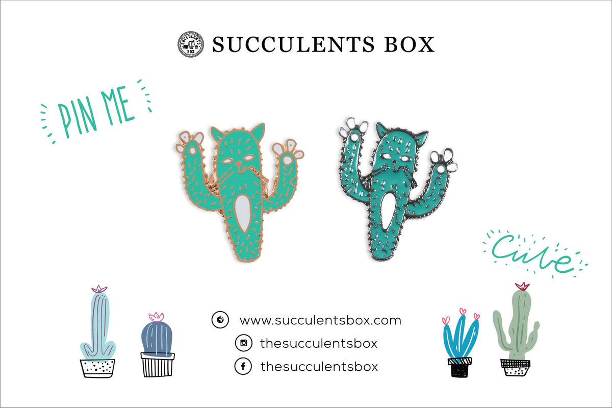 Cactus Cat Enamel Pin for sale, cat brooch for sale, cat cactus lovers, cactus gift box, succulents gift ideas, Gifts for cat lovers, Gifts for plant lovers, cactus, cactus succulent, succulent cactus, cacti, cactus and succulents, succulents box, succulent shop, buy succulents online