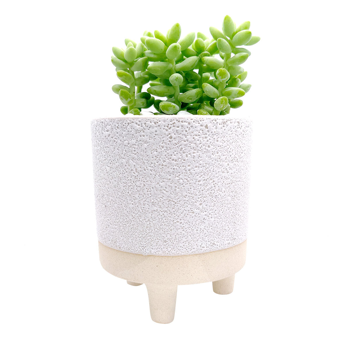 4 inch Bubbled Ceramic Footed Pot for sale, Designed Ceramic pot for succulent and cactus, small flower pot, Succulent pot decor ideas, succulent gift ideas