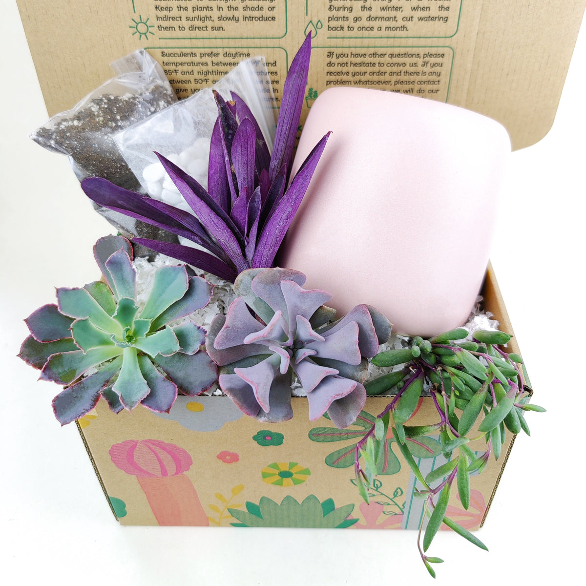 succulent wrapping ideas DIY Purple 4 inch Succulent Arrangement White or Pink Round Pot