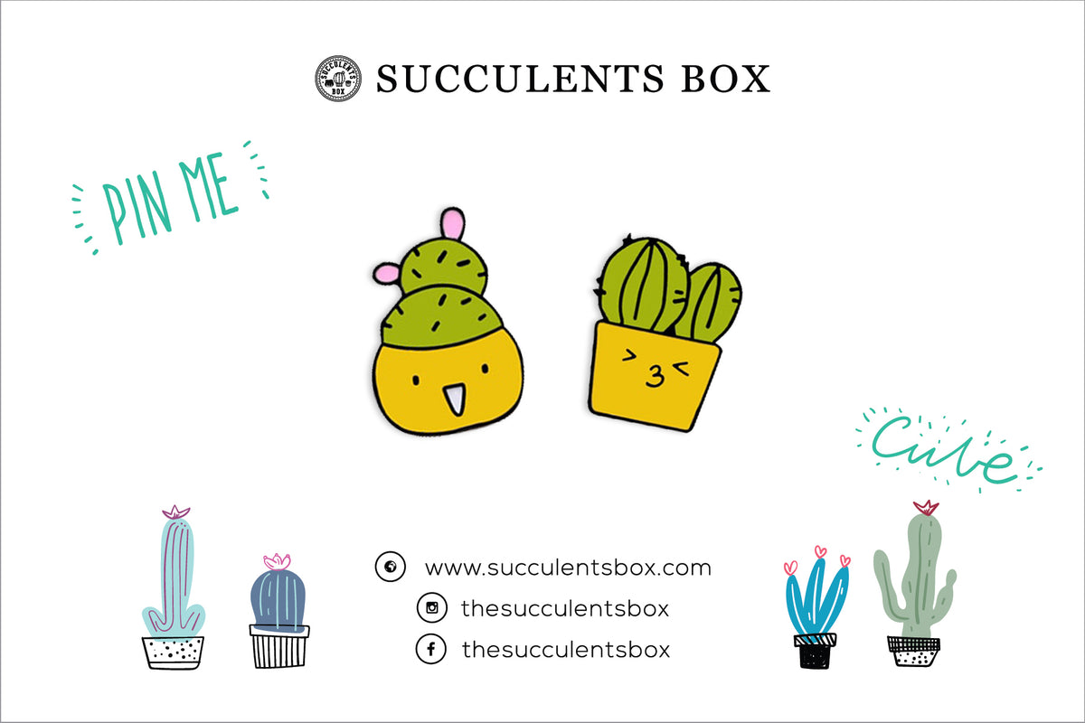 Cute Cactus Enamel Pin for sale, Prickly Pear pin, Metal Plated Lapel Pin, Succulent Pin Badge for sale, Cactus Gift Craft Ideas, cactus, cactus succulent, succulent cactus, cacti, cactus and succulents, succulents box, succulent shop, buy succulents online