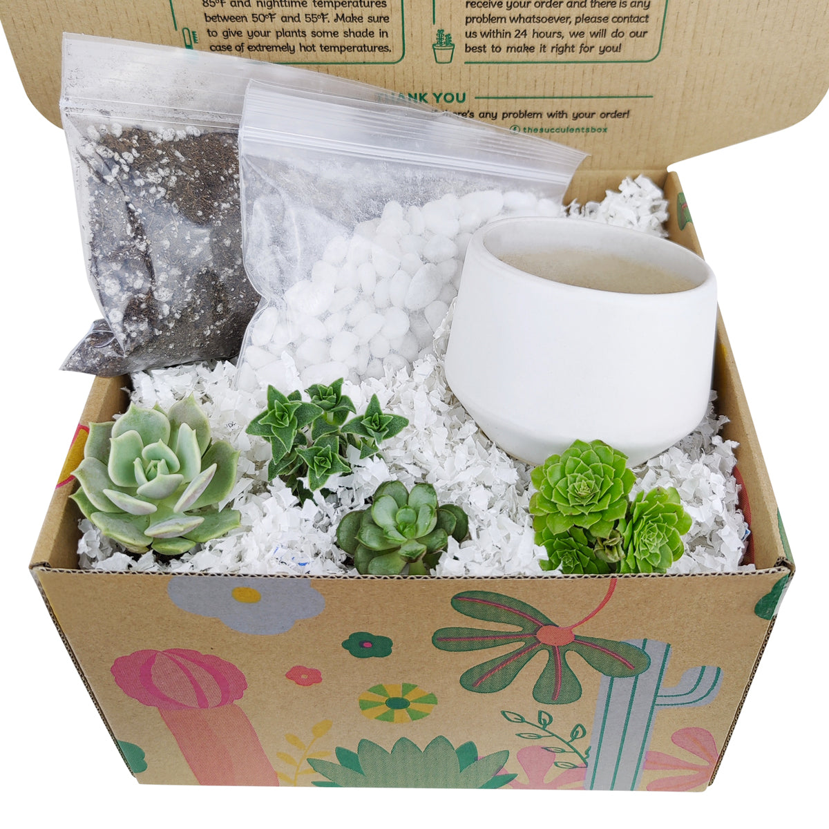 holiday succulent gifts, succulent themed gifts, succulent pot arrangement, succulent christmas gifts, cactus succulent arrangement, gifts for succulent lovers, succulent bowl arrangement, succulent plant gifts, indoor succulent arrangement ideas, Succulent Gift for Men, Thank You Gift Dad, Appreciation Gift for Dad