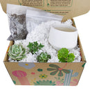 gifts for succulent lovers, succulent bowl arrangement, succulent plant gifts, indoor succulent arrangement ideas, christmas succulent arrangement, live succulent arrangement, succulent garden gifts, colorful succulent arrangement, succulent gifts online,  succulent flower arrangement delivery, Gifts for Dad, Father's Day Gifts Delivery 2022, Plant Gifts for Men, Happy Father's Day Gift