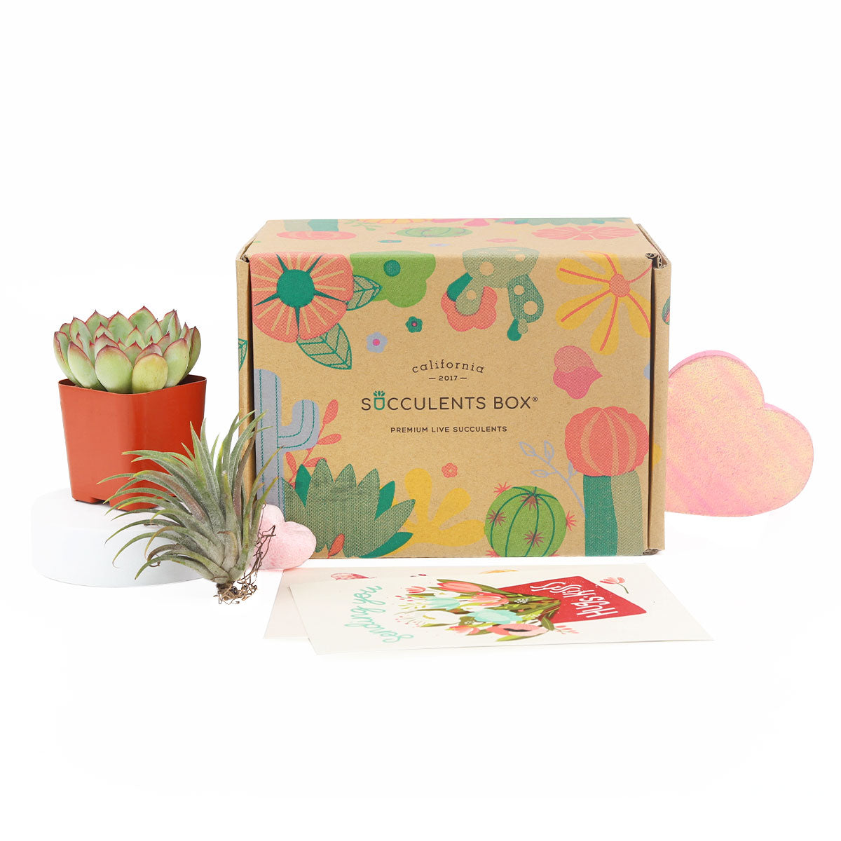 Succulent subscription box delivered monthly, Succulent subscription gift for sale, airplants subscription box monthly