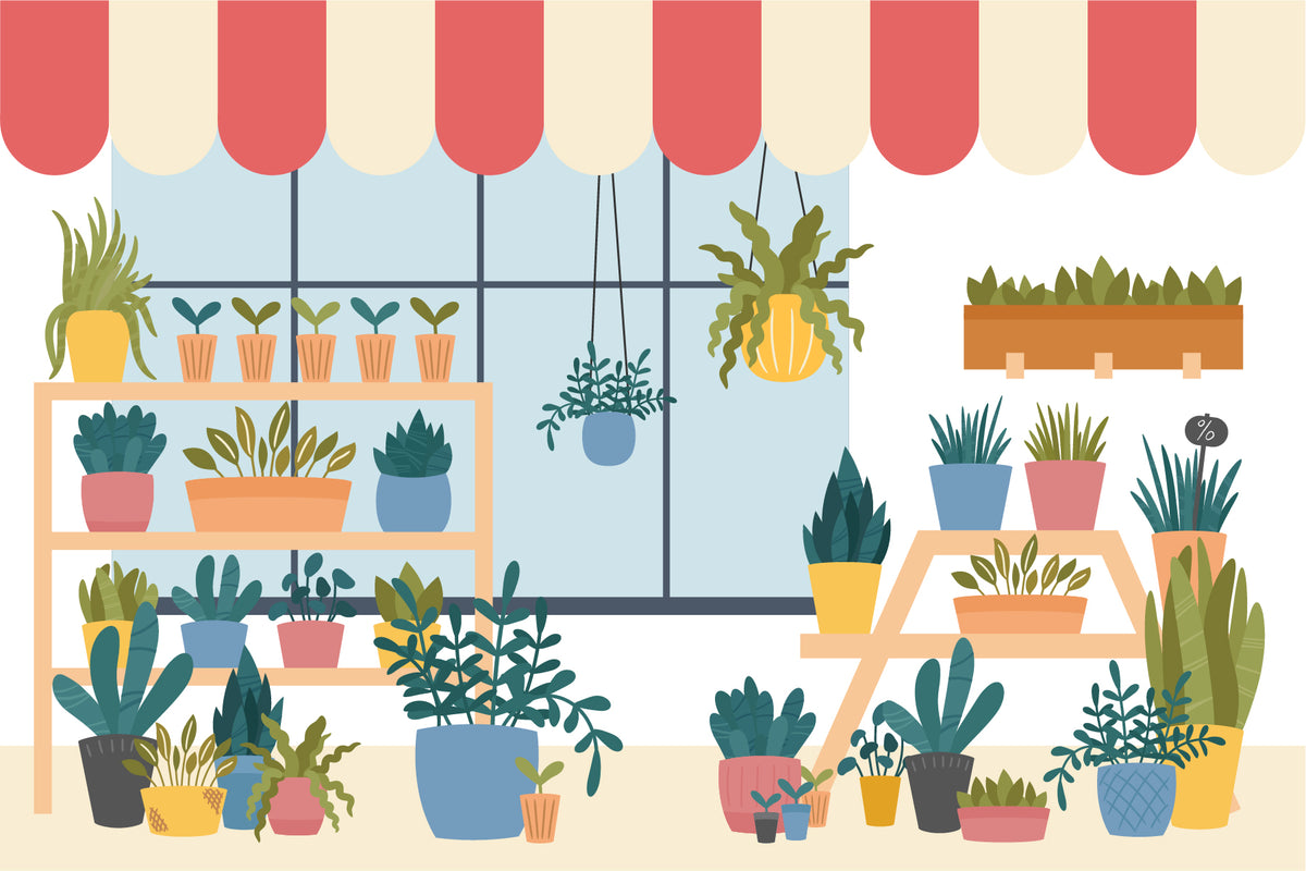 Succulents Greeting Card for sale, Thank you succulents card, Succulents Gift Ideas, Cactus Greeting Card, House plants card, Valentine succulents card, Succulents greeting card for her