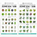best succulent image, collection of Printable Succulents Art, digital printable succulent, choosing succulent for zone, Succulent designs Zone, Succulents Hardiness Zone, Printable Arts: Types of Succulent Zones for sale, Succulent Printable, succulent printable selection, succulent decor idea, succulent gift, succulent art