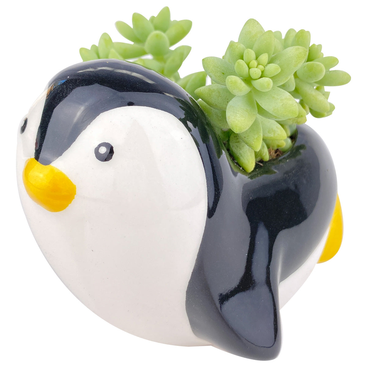 Ceramic Penguin Pot for sale, Cute Ceramic Succulent Pot, Penguin Planter Decor, Craft Supplies, Succulent Gift Ideas, Penguin Succulent Pot