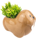 Ceramic Walruses Pot for sale, Cute Ceramic Succulent Pot, Walruses Planter Decor, Craft Supplies, Succulent Gift Ideas, Walruses Succulent Pot