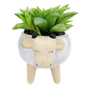 Ceramic Cow Pot for sale, Small ceramic pot for succulents and flowers, Ceramic Animal Succulent Plant Pot, Succulent gift decor ideas