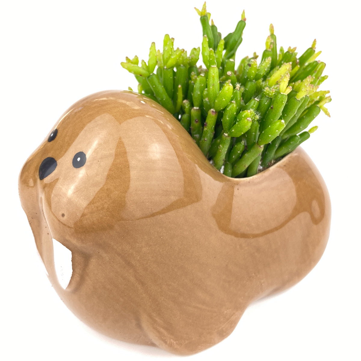 Ceramic Walruses Pot for sale, Cute Ceramic Succulent Pot, Walruses Planter Decor, Craft Supplies, Succulent Gift Ideas, Walruses Succulent Pot