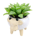 Ceramic Cow Pot for sale, Small ceramic pot for succulents and flowers, Ceramic Animal Succulent Plant Pot, Succulent gift decor ideas