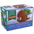 Ceramic Walruses Pot for sale, Cute Ceramic Succulent Pot, Walruses Planter Decor, Craft Supplies, Succulent Gift Ideas, Walruses Succulent Pot, Walruses Pot with Seed Growing Kits