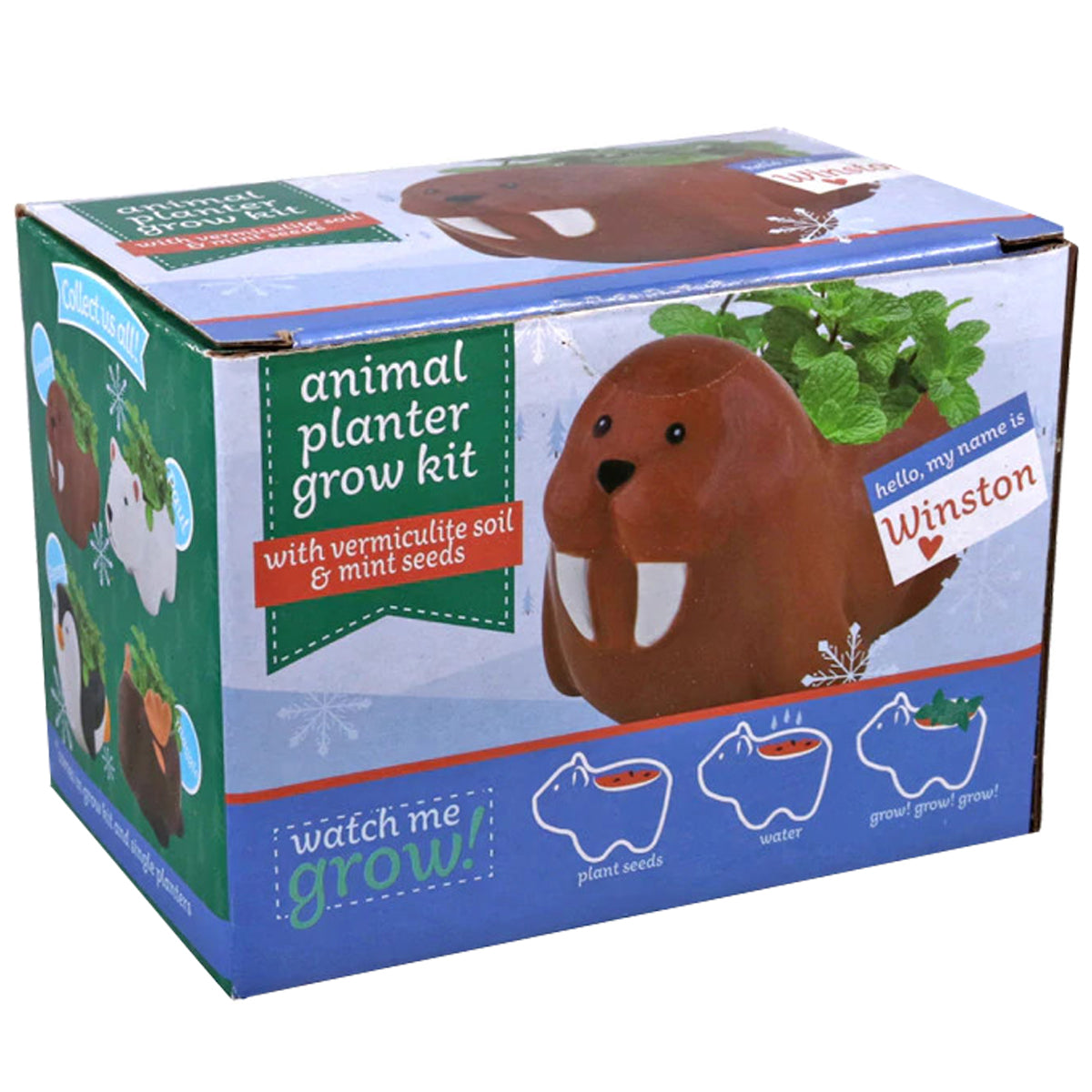 Ceramic Walruses Pot for sale, Cute Ceramic Succulent Pot, Walruses Planter Decor, Craft Supplies, Succulent Gift Ideas, Walruses Succulent Pot, Walruses Pot with Seed Growing Kits