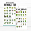 best succulent image, collection of Printable Succulents Art, digital printable succulent, choosing succulent for zone, Succulent designs Zone, Succulents Hardiness Zone, Printable Arts: Types of Succulent Zones for sale, Succulent Printable, succulent printable selection, succulent decor idea, succulent gift, succulent art